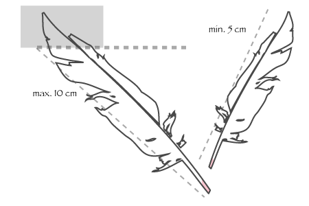 AveSex-Anleitung-2