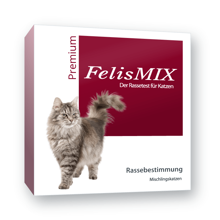 FelisMIX – Premium