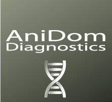 AnidomDiagnostics